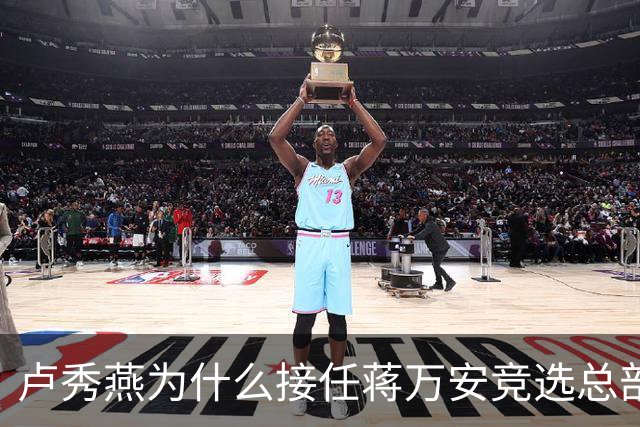卢秀燕为什么接任蒋万安竞选总部的主委？