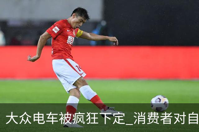 大众电车被疯狂下定 消费者对自主豪车已失望透顶