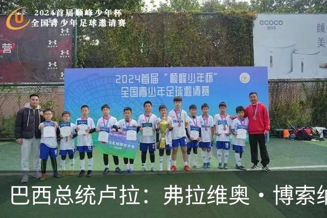 巴西总统卢拉：弗拉维奥·博索纳罗败选后逃离巴西“可耻”