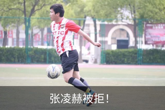 张凌赫被拒！