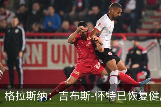 格拉斯纳：吉布斯-怀特已恢复健康，米伦科维奇也能首发