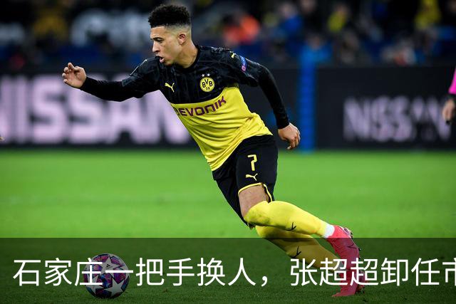 石家庄一把手换人，张超超卸任市委书记职务，去向未明