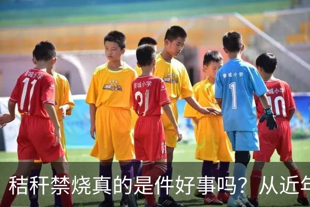 秸秆禁烧真的是件好事吗？从近年蚯蚓鸟类和蛇类数量就能看出来