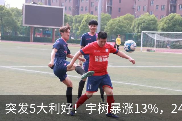 突发5大利好！宇树暴涨13%，24个机器人龙头涨停，主力流入8股