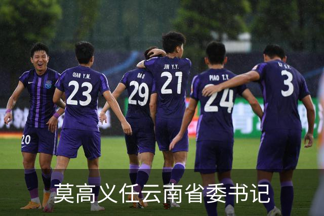 莫高义任云南省委书记