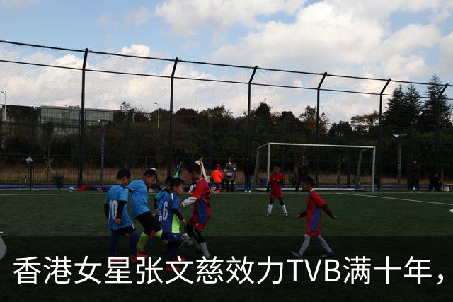 香港女星张文慈效力TVB满十年，获邀赴典礼，曾否认七千万身家仍努力工作