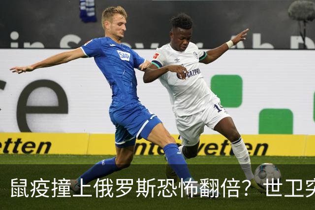 鼠疫撞上俄罗斯=恐怖翻倍？世卫突然改口，五国边境升级藏三根刺