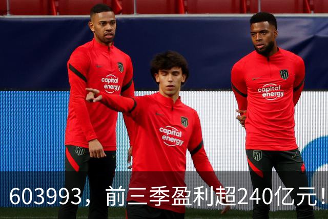 603993，前三季盈利超240亿元！已超去年全年！