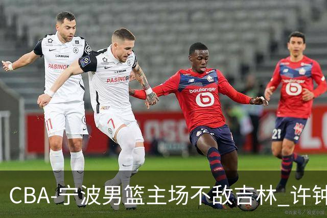 CBA-宁波男篮主场不敌吉林 许钟豪场边指挥